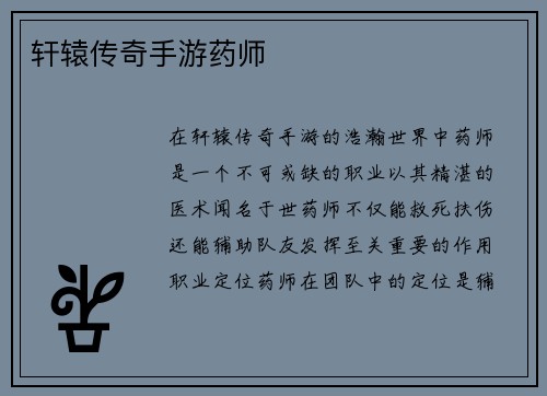 轩辕传奇手游药师